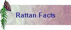 Rattan Facts
